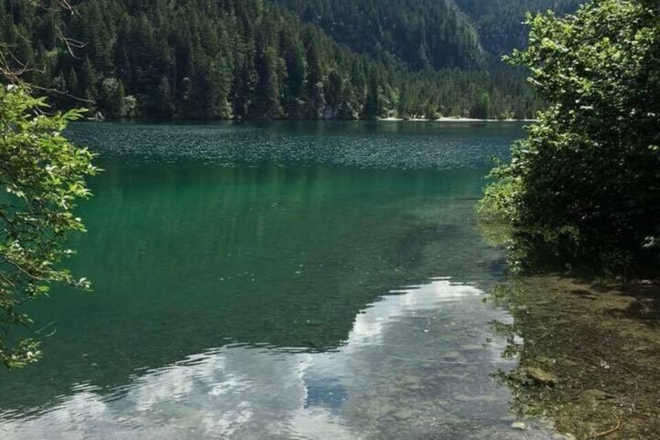 Un lago alpino limpido circondato da una fitta foresta.