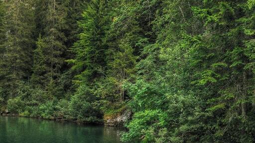 Lago di Tovel - Tuenno (TN) Italia - 11 Agosto 2012
