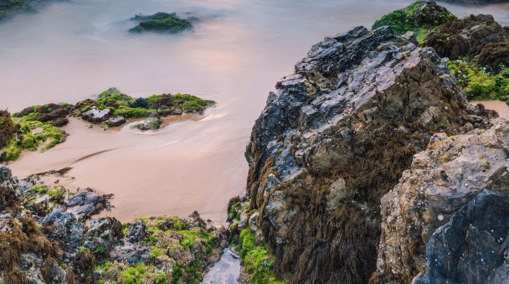 Morning sunrise at Camel Rock, Wallaga Lake. Such a beautiful place.
#Australia #Seascape #Travel #Sunrise #BVS100K
