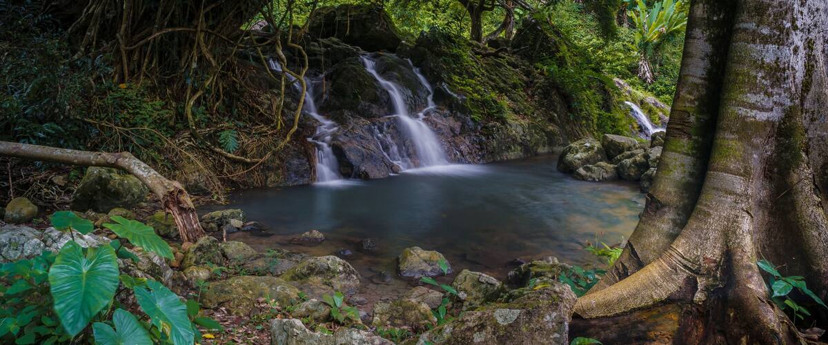 A waterfall in a forested area with rocks and foliage.