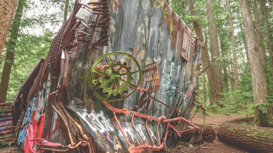 Whistler Train Wreck