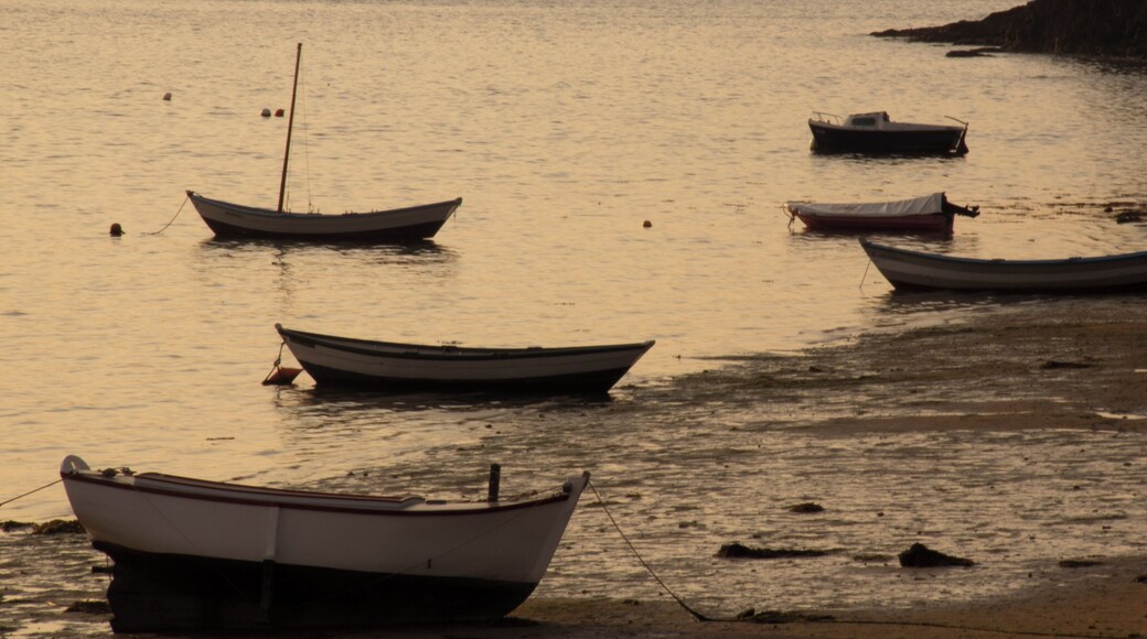 Saint-Suliac. Barcas.