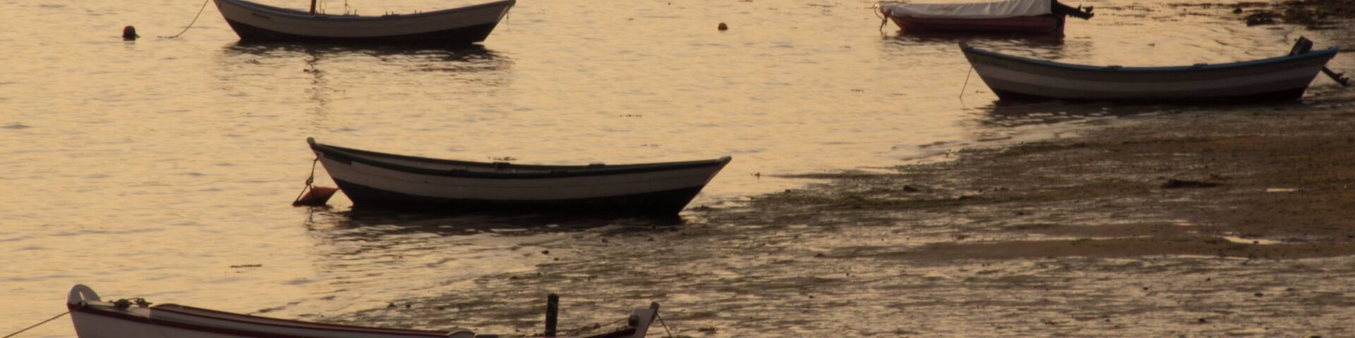 Saint-Suliac. Barcas.