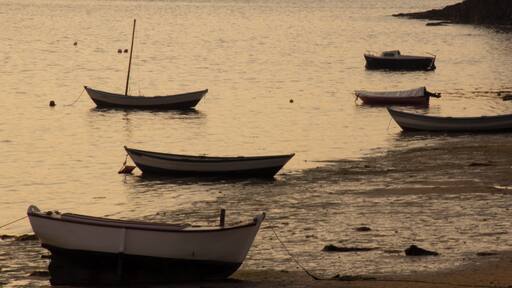 Saint-Suliac. Barcas.