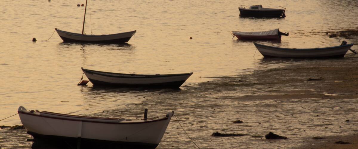 Several boats anchored on a calm body of water during sunset.