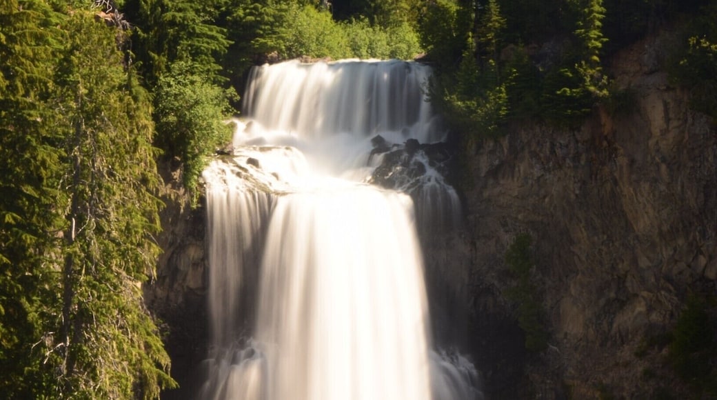 Alexander Falls can be found in Whistler, BC, Canada. It's super close to the Olympic Park.
Easy to get to, free entrance, and beautiful! We were the only people there. This photo was taken from the boardwalk above the falls.