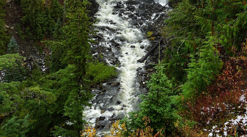 Located in the Callaghan Valley, view right by the parking lot!
#nature