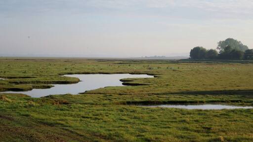 Polder Saint Michel