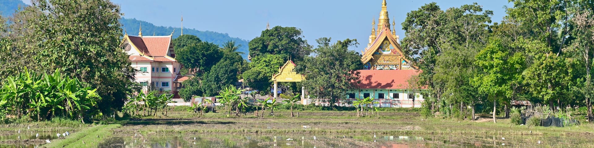 View of Wat Klang Dong in Thung Saliam Distict, Sukhothai Province