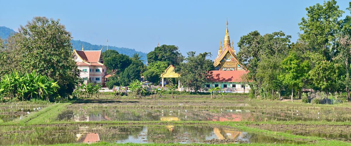 A rural landscape with a temple, houses, and a rice paddy.