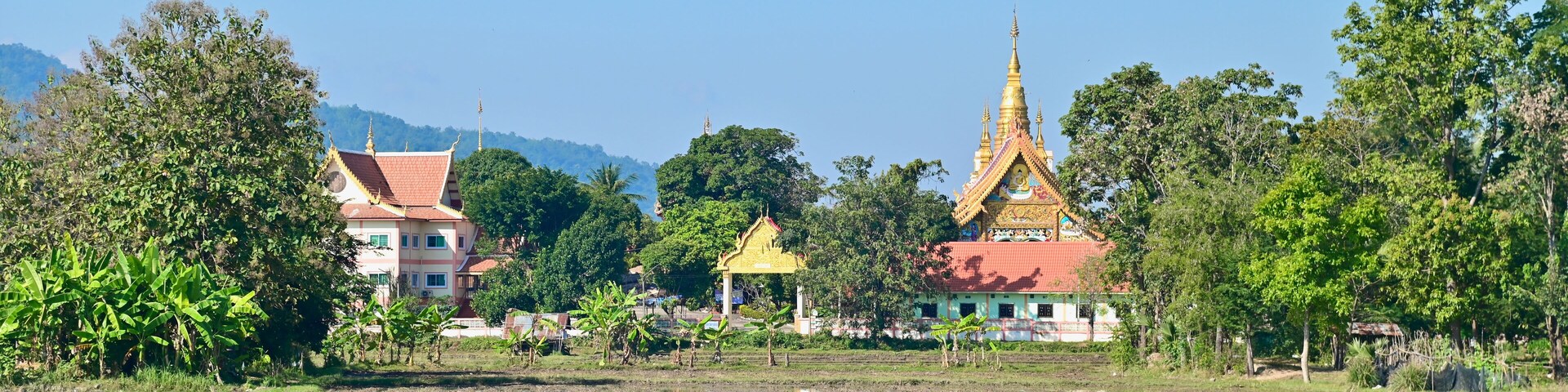 A rural landscape with a temple, houses, and a rice paddy.