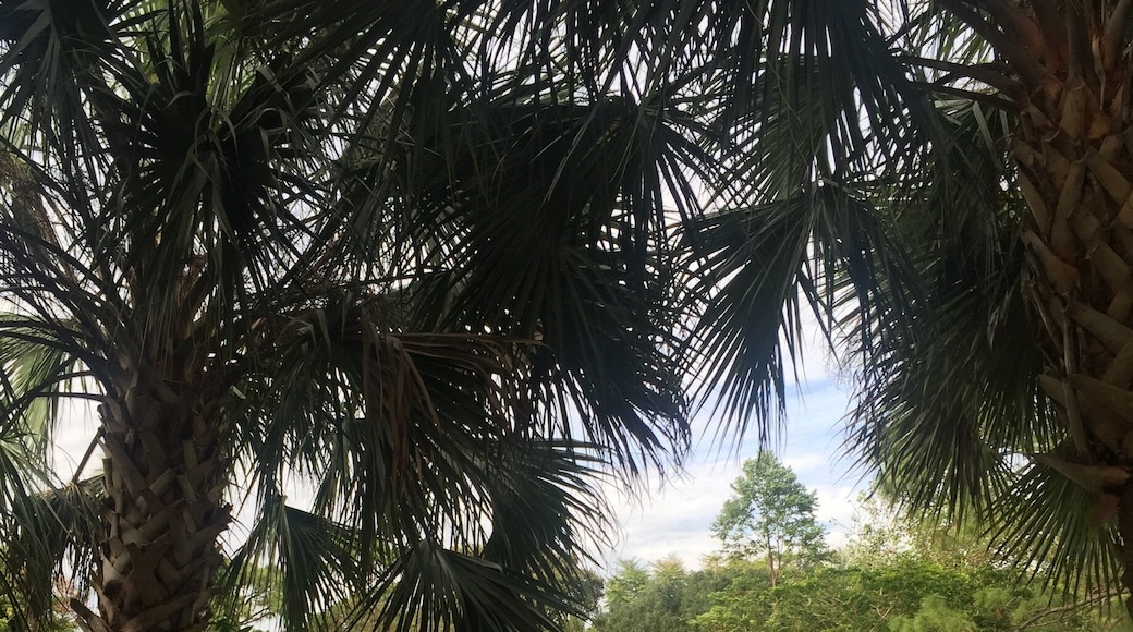 Beautiful little getaway in west palm 😍✌🏽️