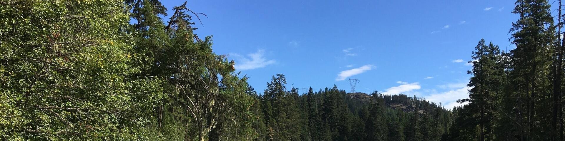 Beautiful campground with world class mountain and river views. Follow the trail to Green River and dip your toes in the glacier fed water.