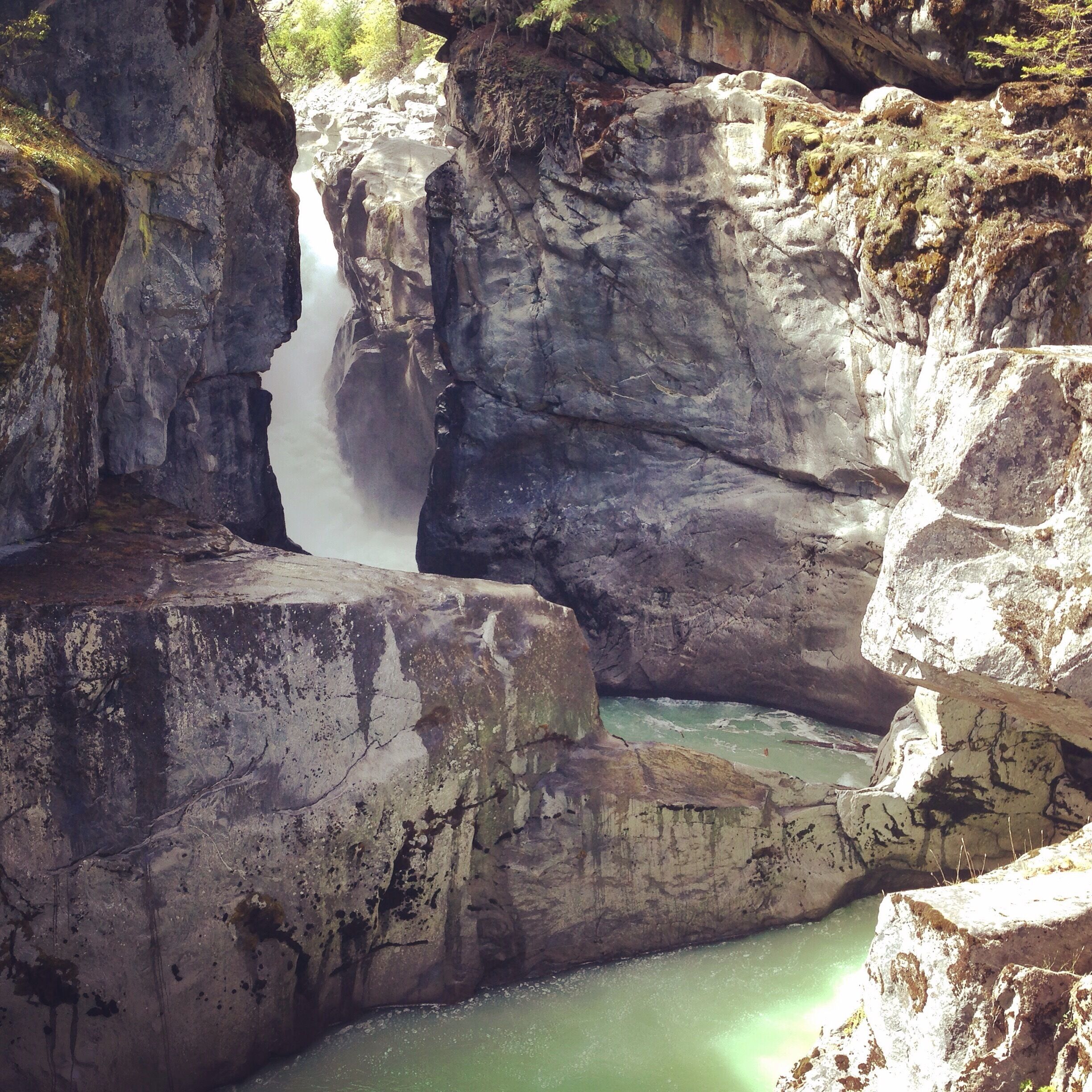 Small hike to Nairn Falls Provincial Park. Hike is approx. 2KM about 30 minutes return if you jet or longer if you're like me and like to take photos along the way. There are two sections to the waterfall to view. At the top there are two platforms and the heading downtown the rock to the right follow the fence to waterfall two. On the way back keep an eye out for the trail that leads you down to the beach area near the rocks.

The camping grounds are beautiful but there are no shower facilities and only outhouses. Firewood can be purchased by park staff which drives around throughout the night for $8 a bunch or. 3 bunches for $20. 

There are black bears in this area so keeping a clean site is enforced by park staff. 

Grizzlies are located 2KM towards Pemberton but tend to not come down to the provincial park. 
