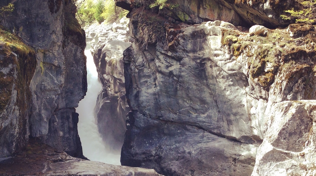 Small hike to Nairn Falls Provincial Park. Hike is approx. 2KM about 30 minutes return if you jet or longer if you're like me and like to take photos along the way. There are two sections to the waterfall to view. At the top there are two platforms and the heading downtown the rock to the right follow the fence to waterfall two. On the way back keep an eye out for the trail that leads you down to the beach area near the rocks.
The camping grounds are beautiful but there are no shower facilities and only outhouses. Firewood can be purchased by park staff which drives around throughout the night for $8 a bunch or. 3 bunches for $20.
There are black bears in this area so keeping a clean site is enforced by park staff.
Grizzlies are located 2KM towards Pemberton but tend to not come down to the provincial park.