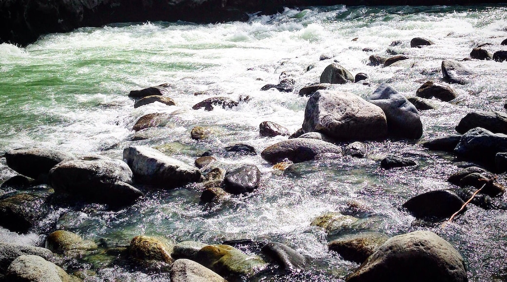 Small hike to Nairn Falls Provincial Park. Hike is approx. 2KM about 30 minutes return if you jet or longer if you're like me and like to take photos along the way. There are two sections to the waterfall to view. At the top there are two platforms and the heading downtown the rock to the right follow the fence to waterfall two. On the way back keep an eye out for the trail that leads you down to the beach area near the rocks.
The camping grounds are beautiful but there are no shower facilities and only outhouses. Firewood can be purchased by park staff which drives around throughout the night for $8 a bunch or. 3 bunches for $20.
There are black bears in this area so keeping a clean site is enforced by park staff.
Grizzlies are located 2KM towards Pemberton but tend to not come down to the provincial park.