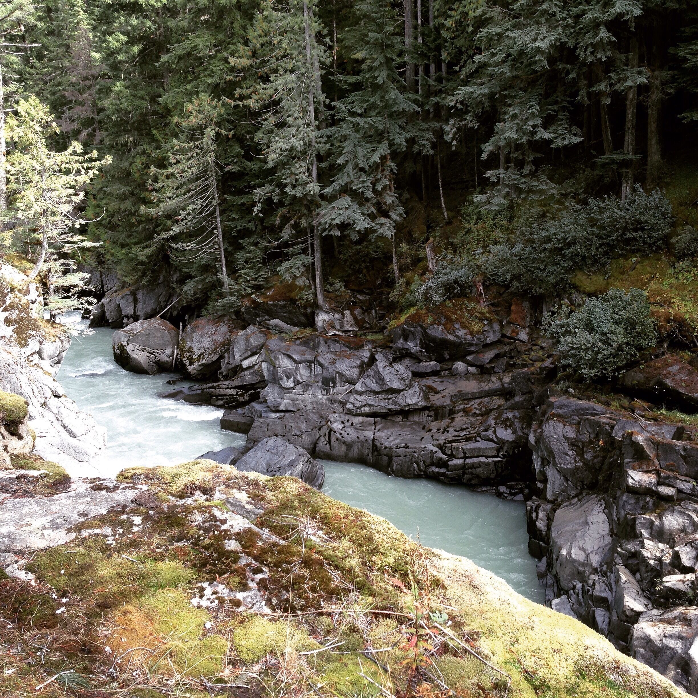 Small hike to Nairn Falls Provincial Park. Hike is approx. 2KM about 30 minutes return if you jet or longer if you're like me and like to take photos along the way. There are two sections to the waterfall to view. At the top there are two platforms and the heading downtown the rock to the right follow the fence to waterfall two. On the way back keep an eye out for the trail that leads you down to the beach area near the rocks.

The camping grounds are beautiful but there are no shower facilities and only outhouses. Firewood can be purchased by park staff which drives around throughout the night for $8 a bunch or. 3 bunches for $20. 

There are black bears in this area so keeping a clean site is enforced by park staff. 

Grizzlies are located 2KM towards Pemberton but tend to not come down to the provincial park. 
