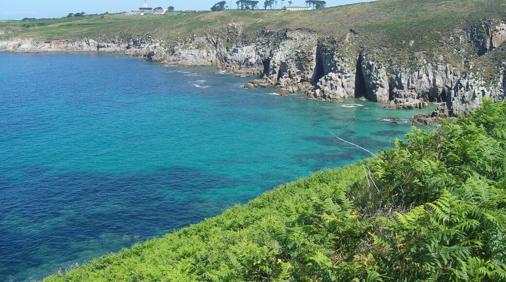 29810 Ploumoguer, France