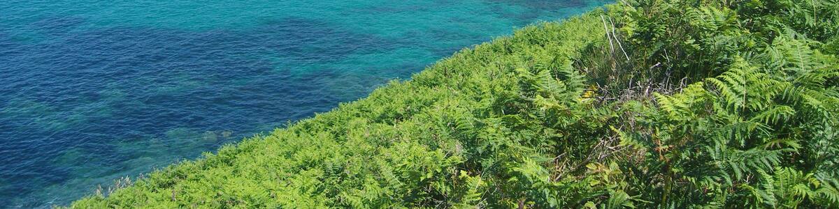 29810 Ploumoguer, France