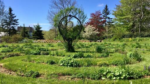 Walking the labyrinth at the tangled garden