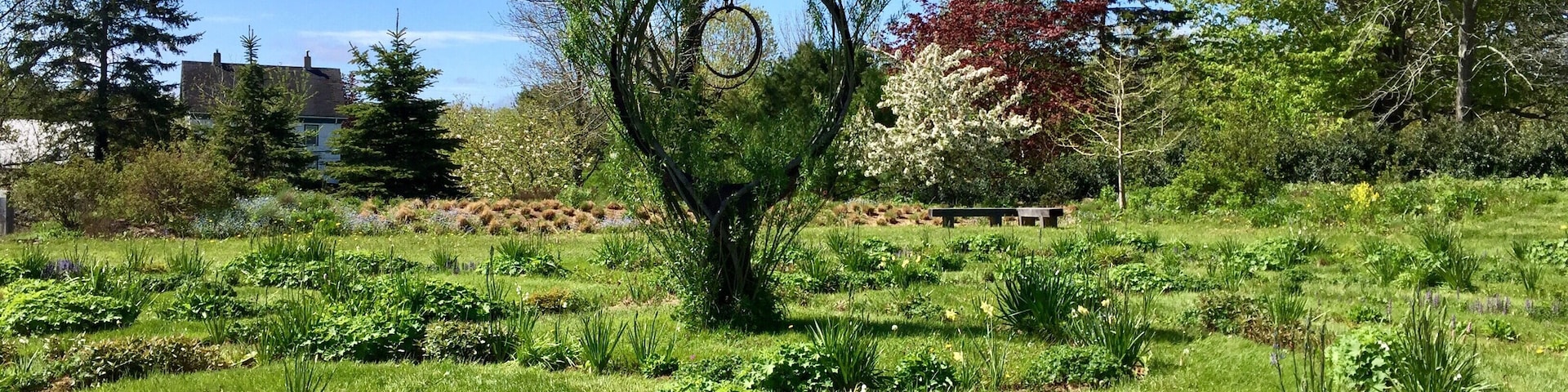 Walking the labyrinth at the tangled garden