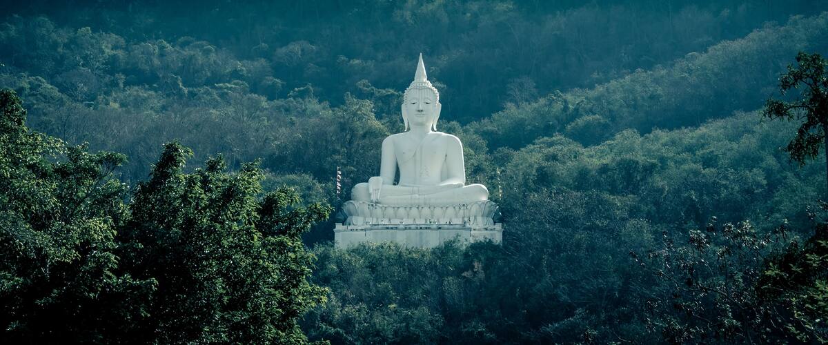 A large white Buddha statue surrounded by lush green forest and hills.