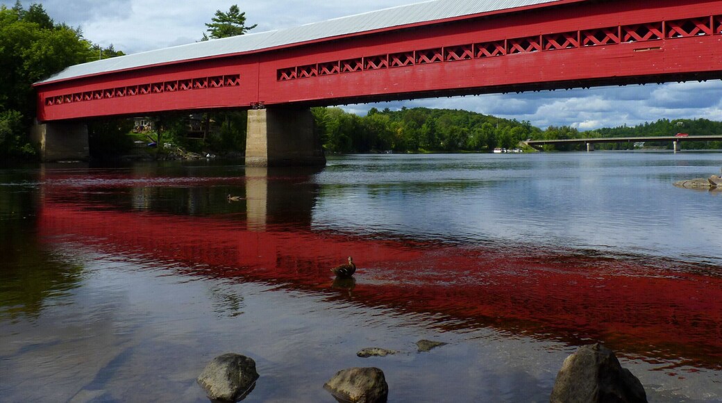 Originally built in 1915, the community raised funds to rebuild the bridge after a fire in 1984. The bridge is used for pedestrian traffic, but also hosts festivals and movie nights. And the rocks on the river shores below the bridge are a perfect place to laze on a sunny afternoon. #architecture