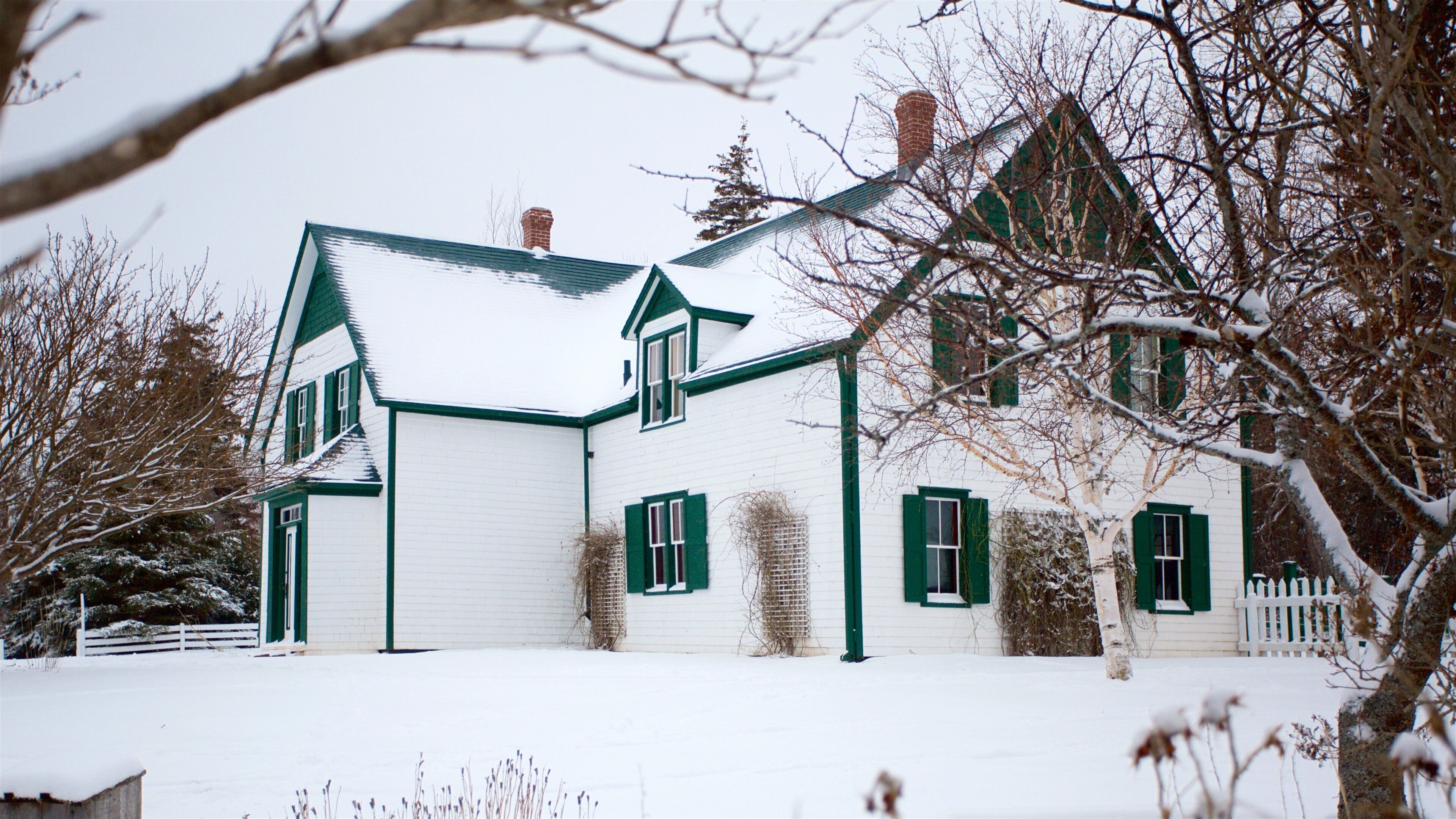 Green Gables featuring a house and snow