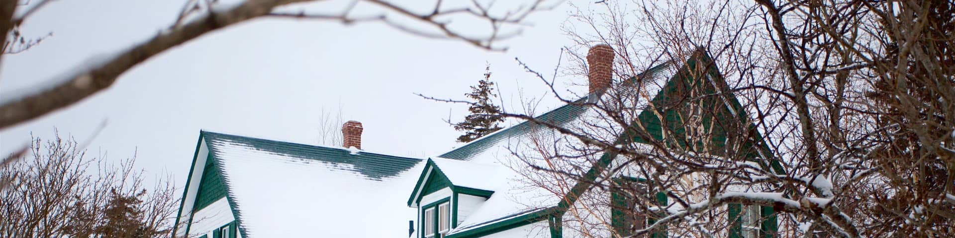 Una casa cubierta de nieve con contraventanas verdes y fachada blanca.