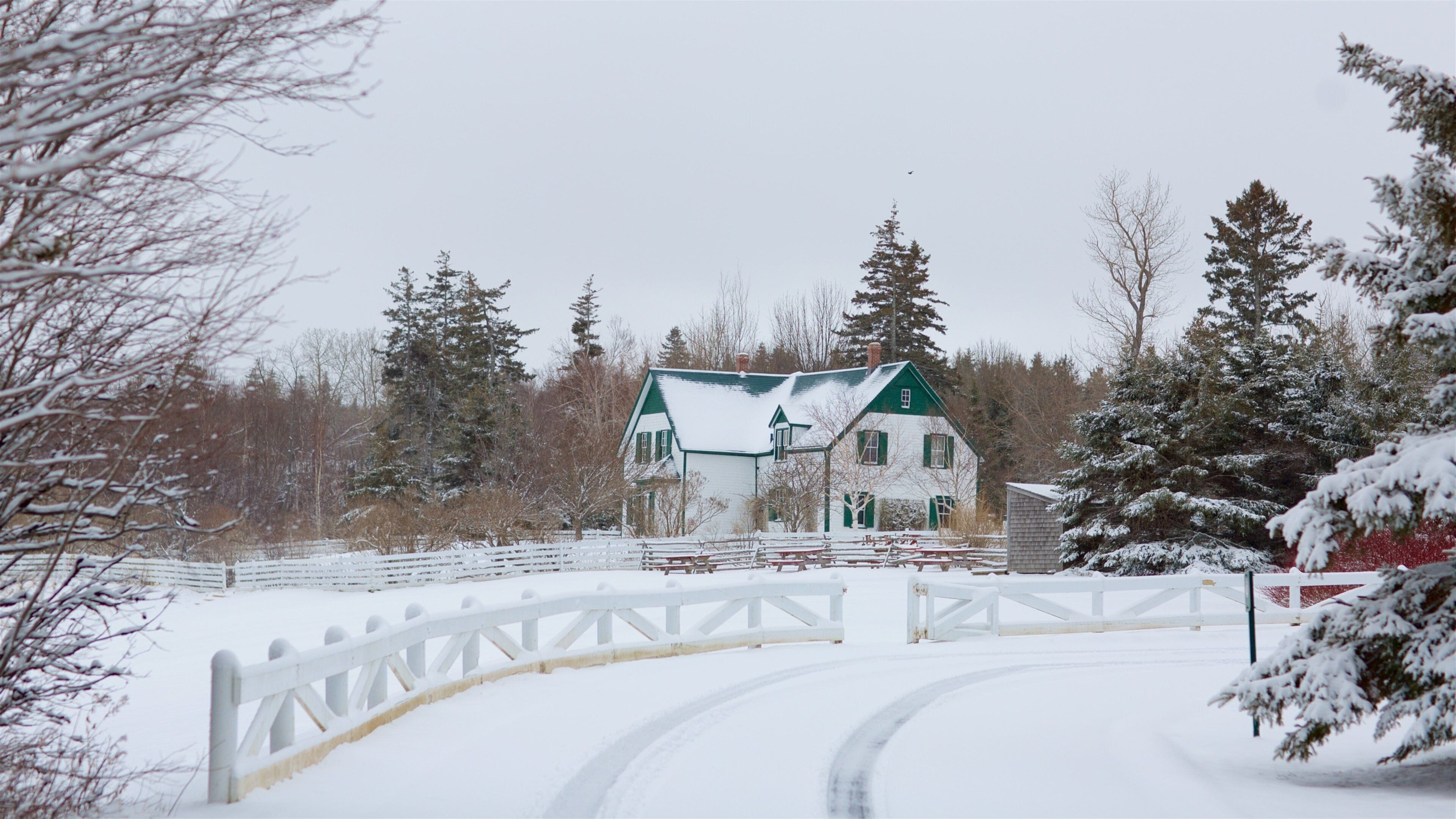 Green Gables Heritage Place which includes snow and a house