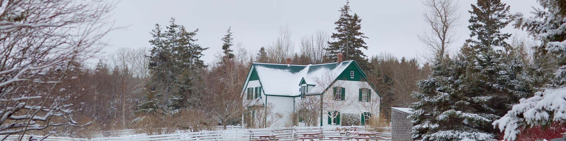 Green Gables Heritage Place which includes snow and a house