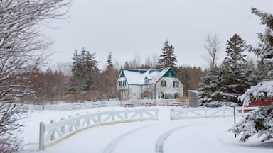 Green Gables Heritage Place which includes snow and a house