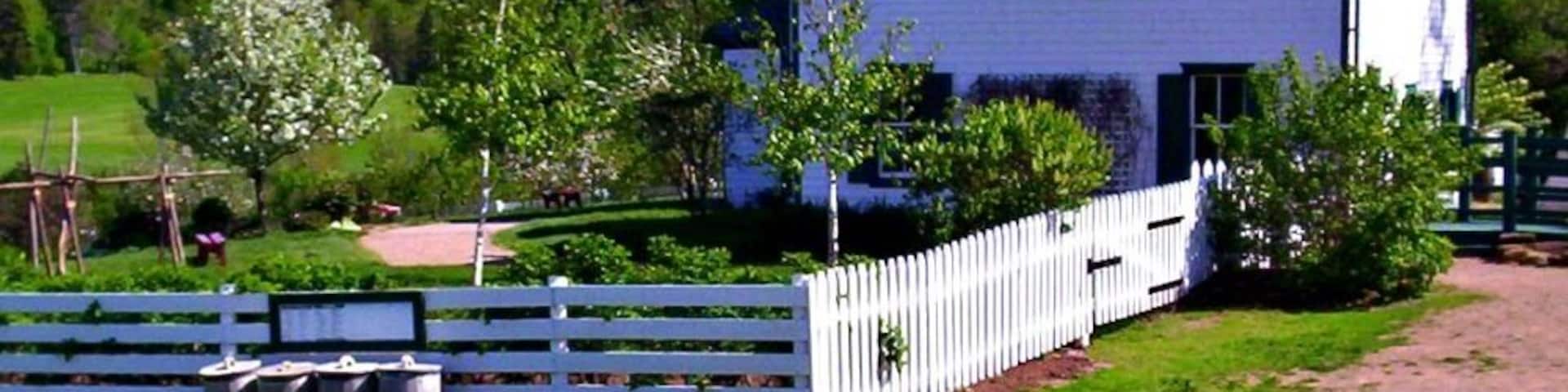A white house with a green roof, surrounded by a white picket fence and lush greenery.