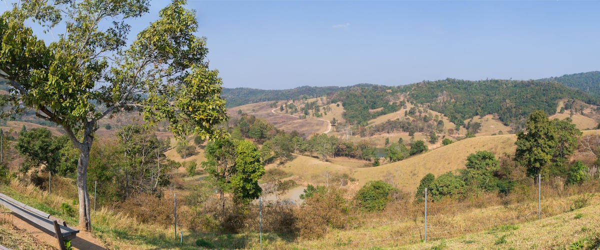A hilly landscape with a dirt path, trees, and a fence.