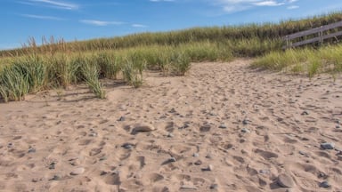 #beach
Pomquet Beach in Antigonish County, Nova Scotia. Lovely sandy beach with boardwalks and dunes.