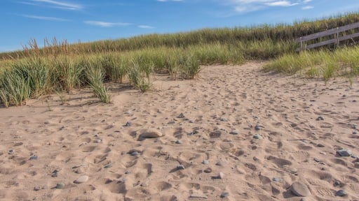 #beach
Pomquet Beach in Antigonish County, Nova Scotia. Lovely sandy beach with boardwalks and dunes.