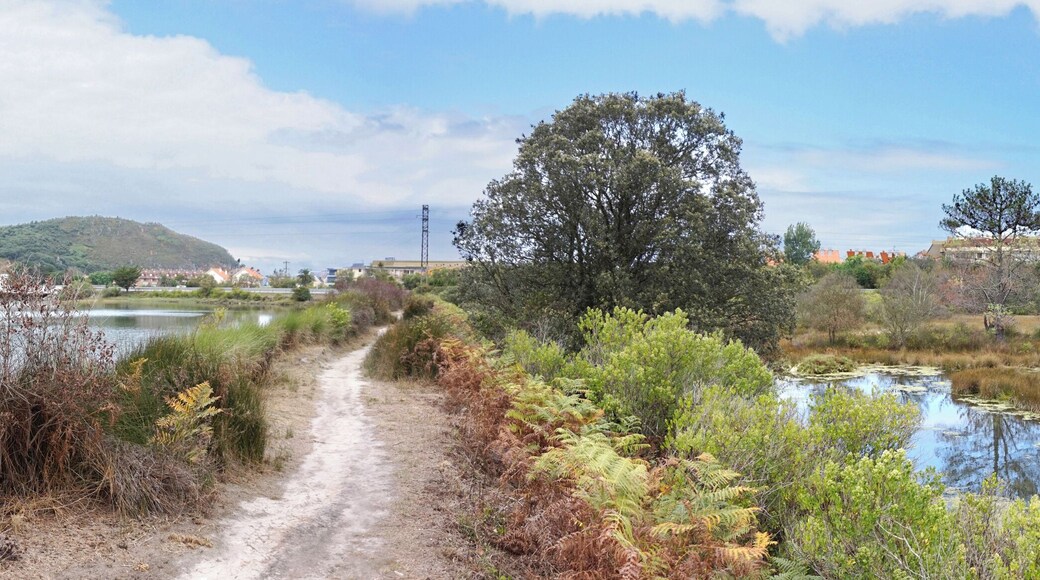 Santoña, Victoria and Joyel Marshes Natural Park in August 2016.