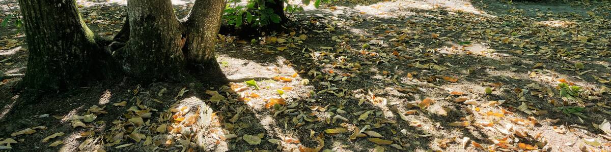 La Roche aux Fees. Massive prehistoric dolmen near town of Janze. One of the grandest megalithic monuments in Brittany