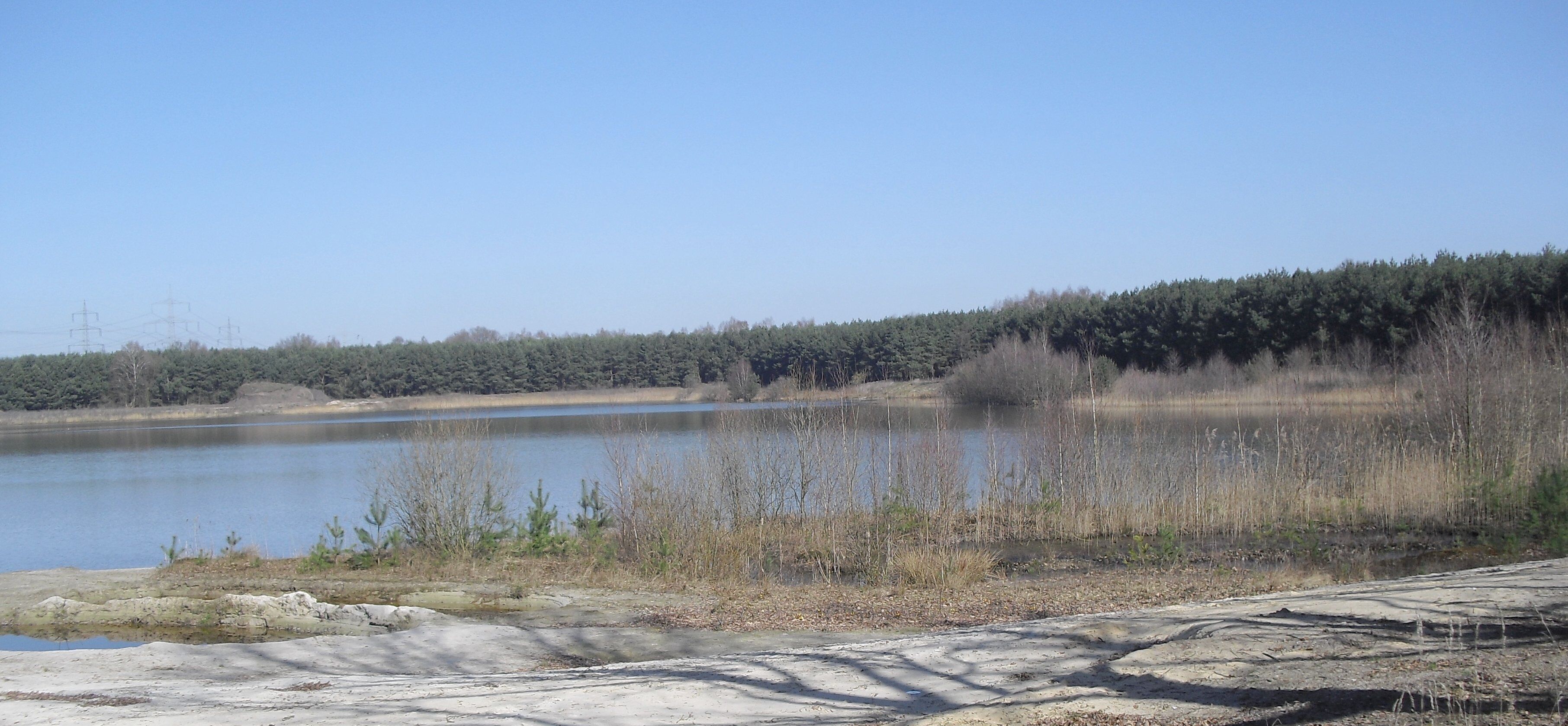 Baggersee im Naturschutzgebiet Apels Teich in Hövelhof-Klausheide