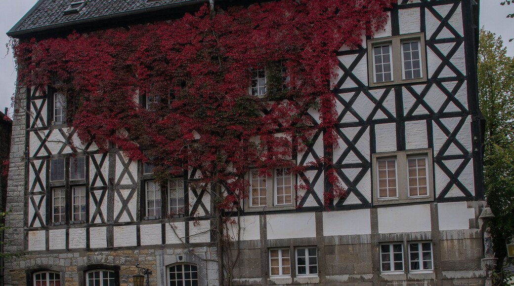 คอร์เนลิมูนสเตอร์