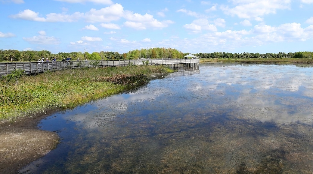Beautiful Green Cay Preserve Wetland in Boynton Beach, Florida, USA.