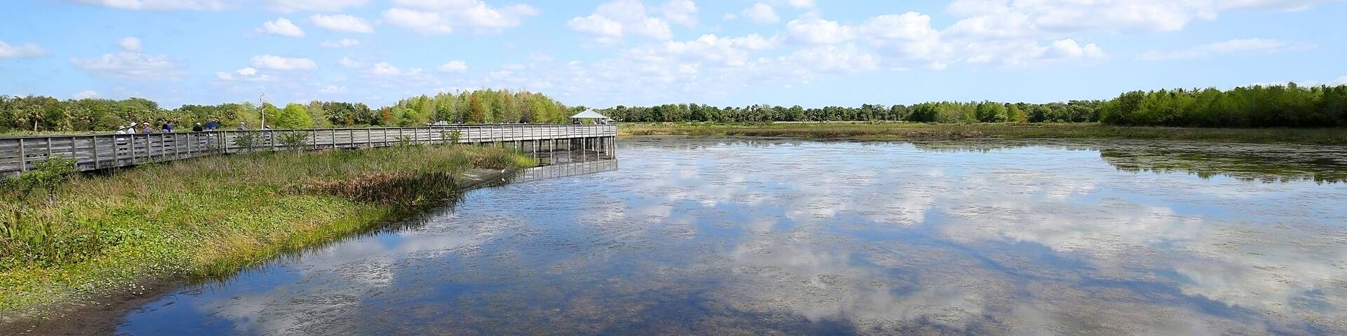 Beautiful Green Cay Preserve Wetland in Boynton Beach, Florida, USA.