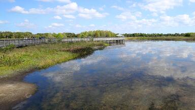 A wooden bridge over a calm river with clear water, surrounded by greenery and trees.