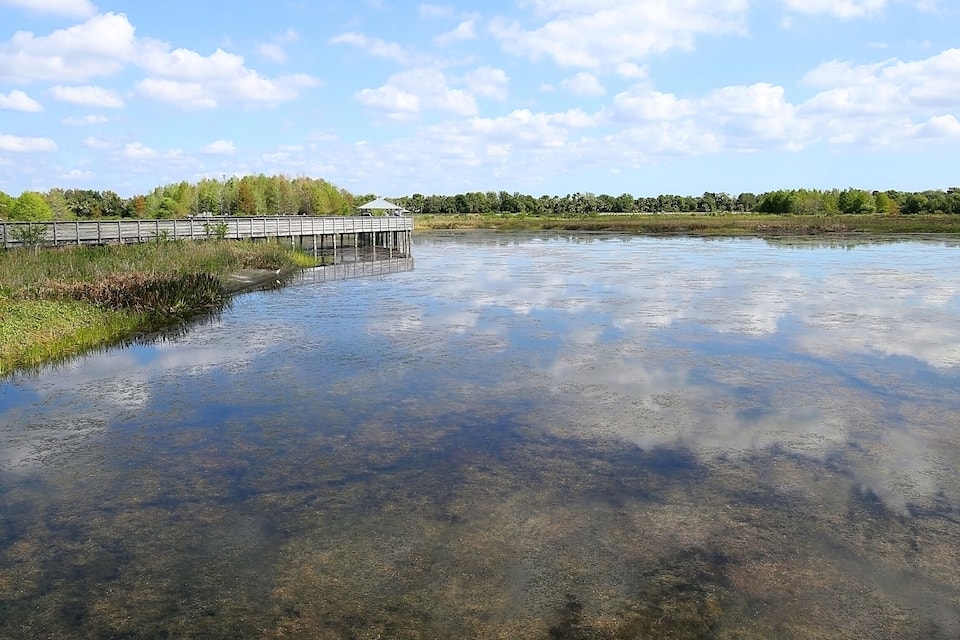A wooden bridge over a calm river with clear water, surrounded by greenery and trees.