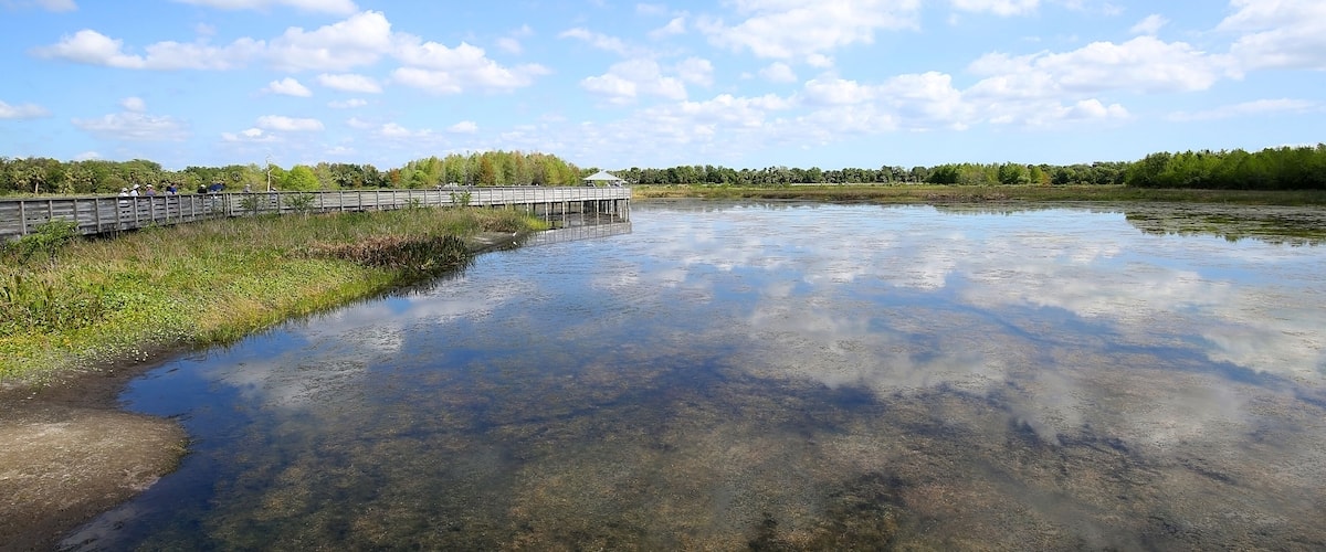A wooden bridge over a calm river with clear water, surrounded by greenery and trees.