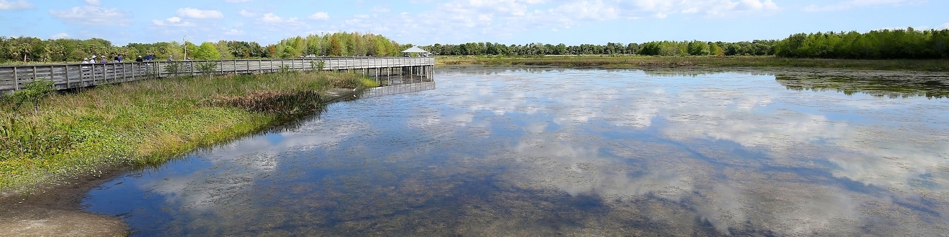 A wooden bridge over a calm river with clear water, surrounded by greenery and trees.