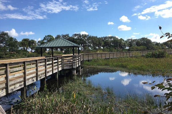 The Wakodahatchee boardwalk