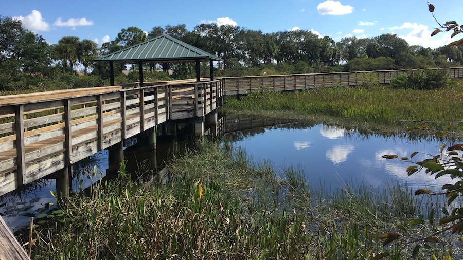 The Wakodahatchee boardwalk
