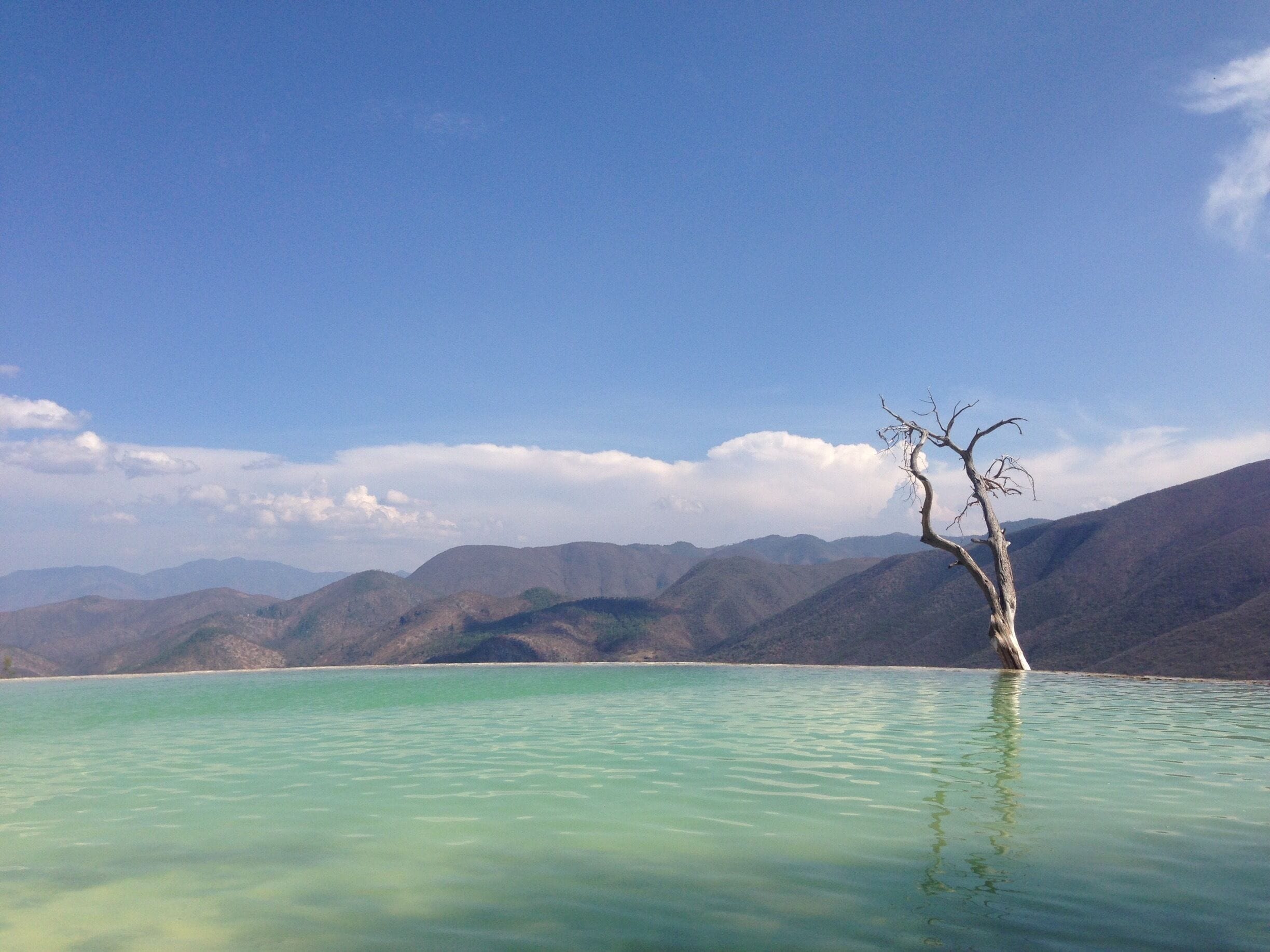 Bit of a trek but worth it!