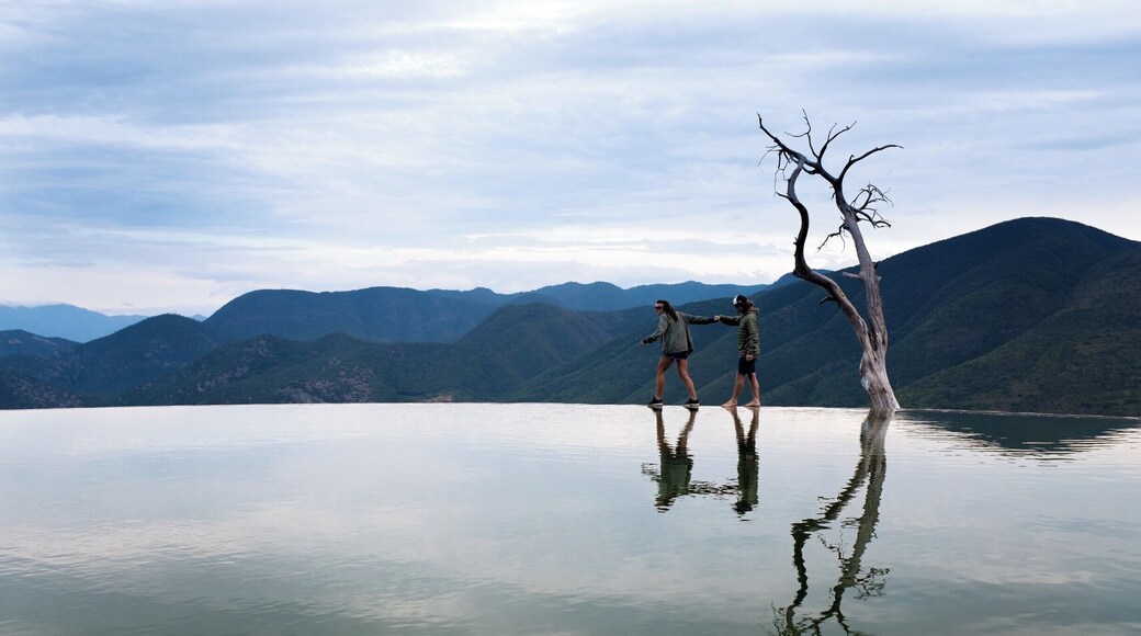 Stillness un the land of boiling water 💦
Nature is one badass lady. This natural rock formation is built from build ups of excess calcium carbonate and overtime has resembled a waterfall, hence the name. Hierve el Agua literally means, "the water boils". 🤘🏽🤘🏽🤘🏽